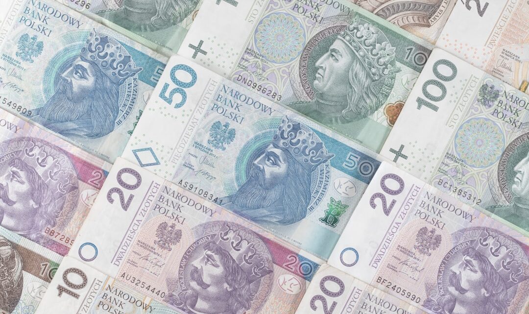 Inwestowanie w obligacje skarbowe: Przewodnik po rodzajach, ryzykach i oprocentowaniu dla polskich inwestorów.