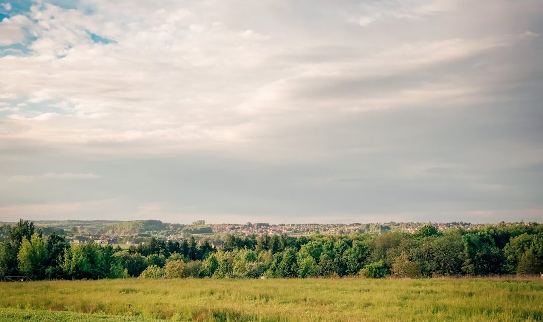 Kupno działki rekreacyjnej lub budowlanej: Finansowe aspekty i pułapki w Polsce