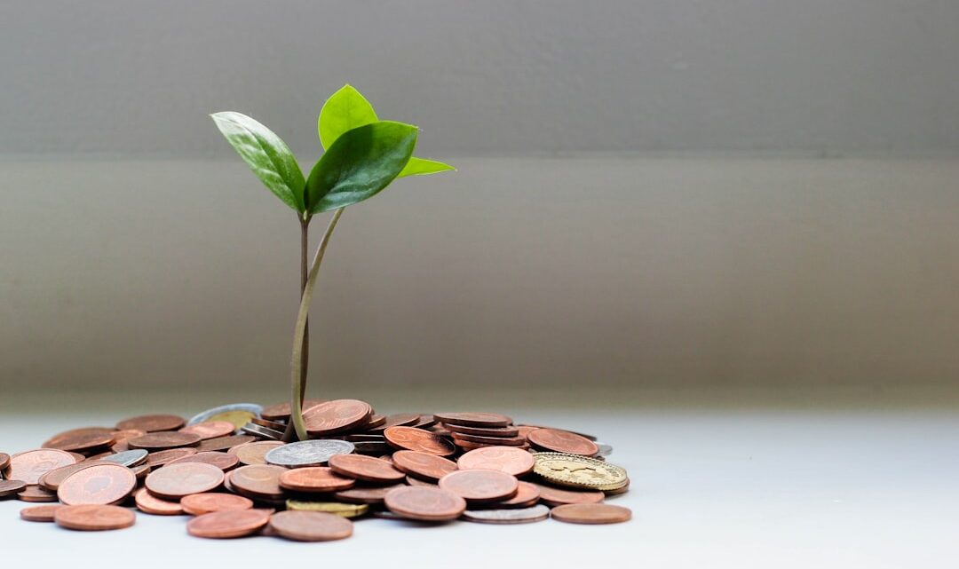 Inwestowanie w Impact Investing w Polsce: Jak wybierać projekty o realnym wpływie społecznym i środowiskowym, łącząc zyski z wartościami?