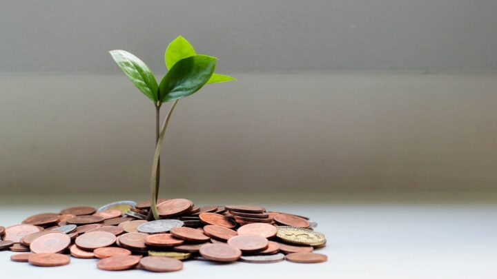 Inwestowanie w Impact Investing w Polsce: Jak wybierać projekty o realnym wpływie społecznym i środowiskowym, łącząc zyski z wartościami?