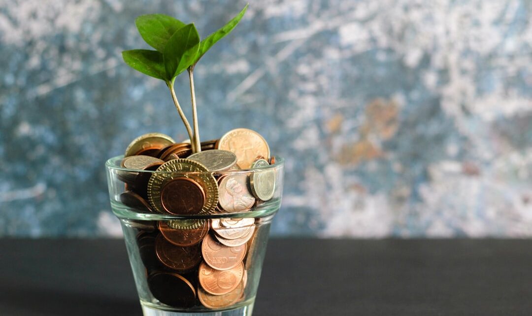 Zero waste i finanse: Jak żyć ekologicznie, oszczędzać pieniądze i zmniejszyć swój ślad węglowy w codziennym budżecie domowym. Zero waste i finanse: Jak żyć ekologicznie, oszczędzać pieniądze i zmniejszyć swój ślad węglowy w codziennym budżecie domowym.