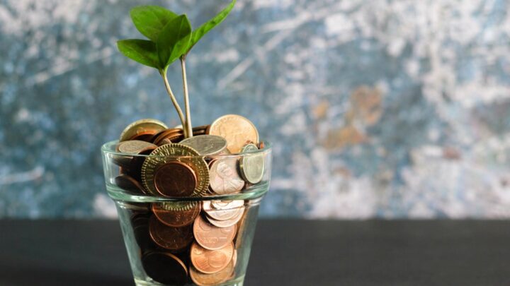 Zero waste i finanse: Jak żyć ekologicznie, oszczędzać pieniądze i zmniejszyć swój ślad węglowy w codziennym budżecie domowym.