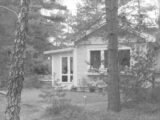 A black and white house nestled among trees.