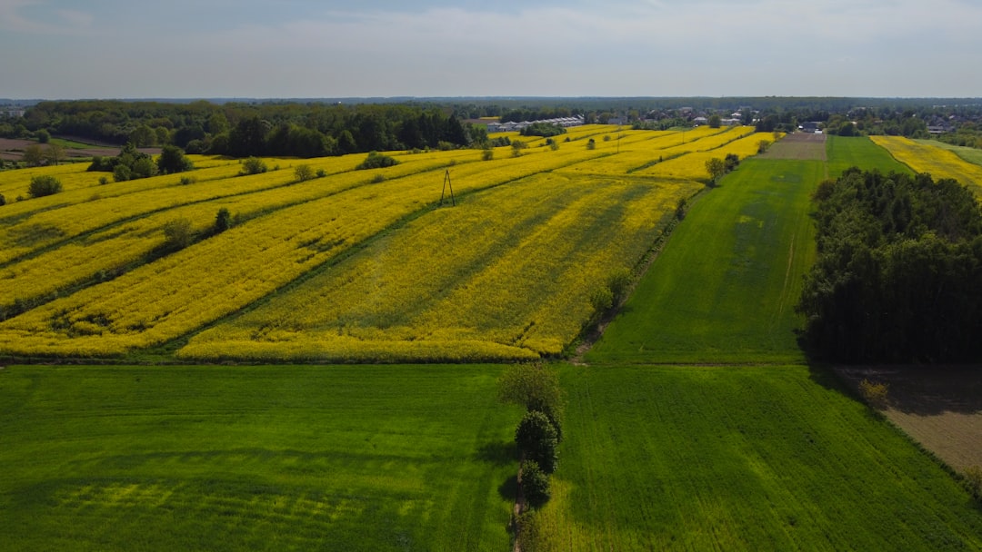 Inwestowanie w ziemię rolną: Ocena, koszty i zysk w PL