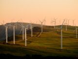 windmills on green field under white sky during daytime